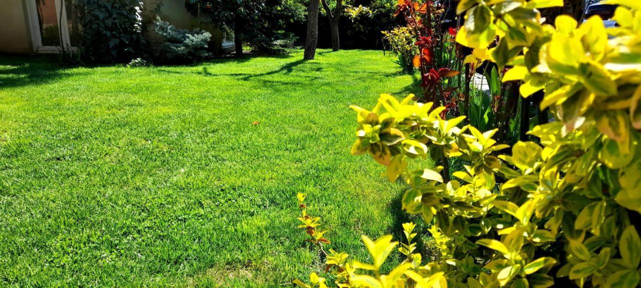 Green Garden Tbiliszi Kültér fotó