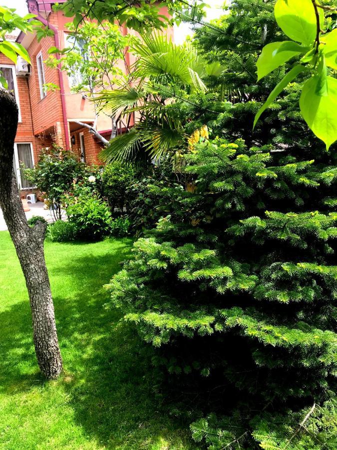 Green Garden Tbiliszi Kültér fotó